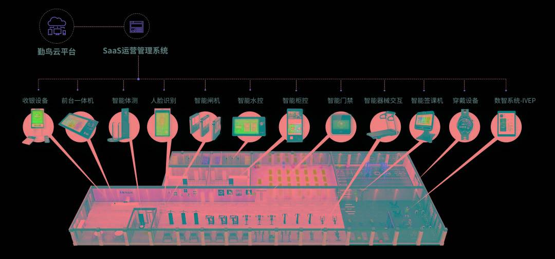 勤鸟瑜伽普拉提智慧服务方案让你的半岛·BOB官方网站场馆脱颖而出！(图3)