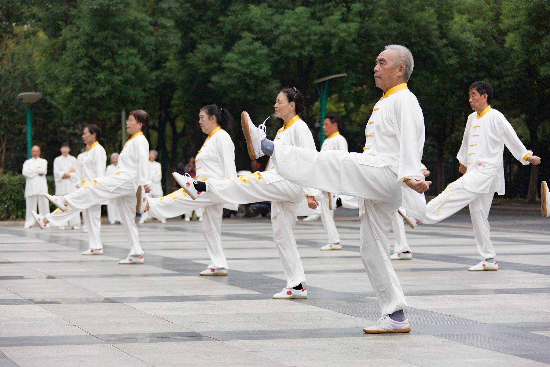 合理的瑜伽练习让老年人享受瑜伽带来的BOB半岛身心益处(图1)