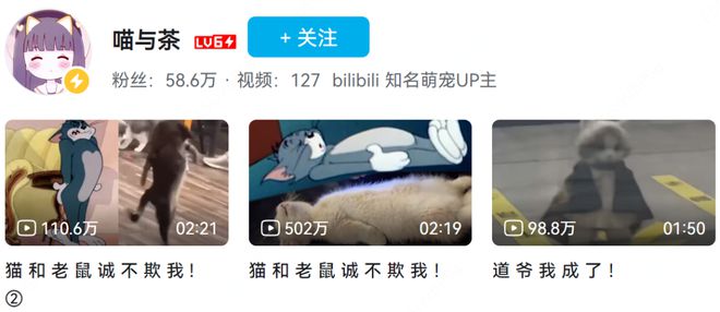 舒适内衣、椰乳、羊绒、钢笔、瑜伽半岛·BOB官方网站垫、石榴、阅读软件、纪录片和(图21)