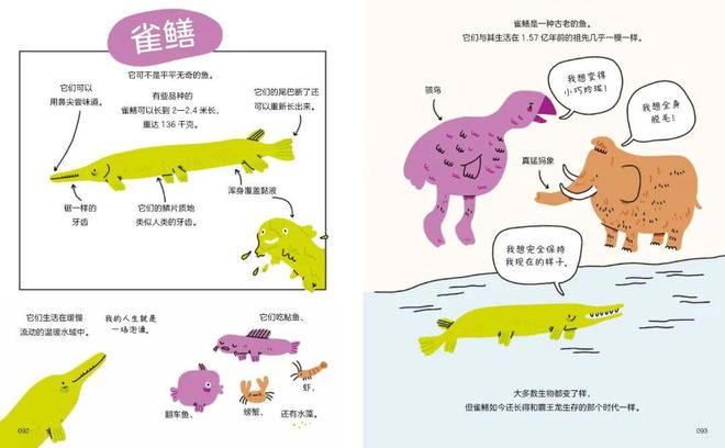 舒适内衣、椰乳、羊绒、钢笔、瑜伽半岛·BOB官方网站垫、石榴、阅读软件、纪录片和(图22)